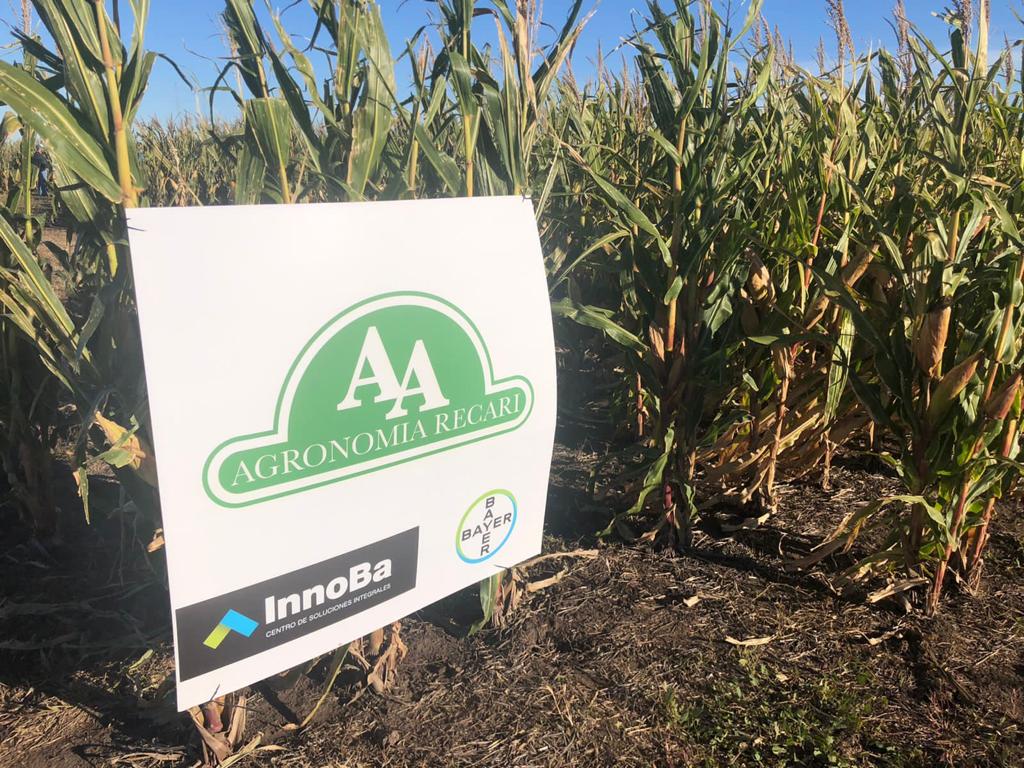 juampiriedel's tweet photo. Excelente jornada junto a @AgronomiaRecari, recorrimos todo el portfolio @DekalbArgentina con @Rafael_Lopez_27, intercambiando experiencias con asesores y productores. @Bayer4CropsAR https://t.co/ZIOZhiK1ON