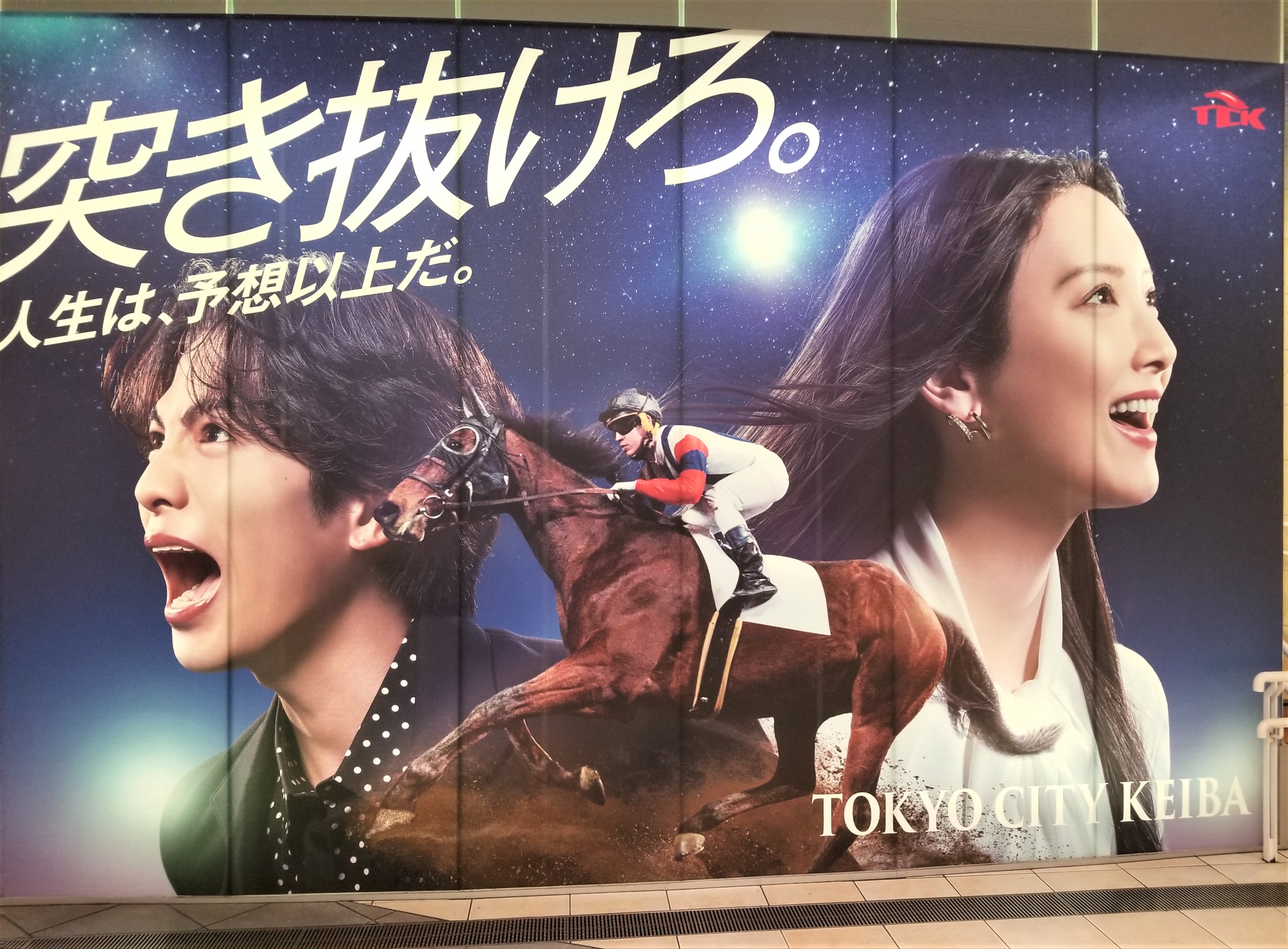 東京競馬場 ポスター ソングライン引退記念デザインポスター (B2サイズ) | HORSEGOODSnet
