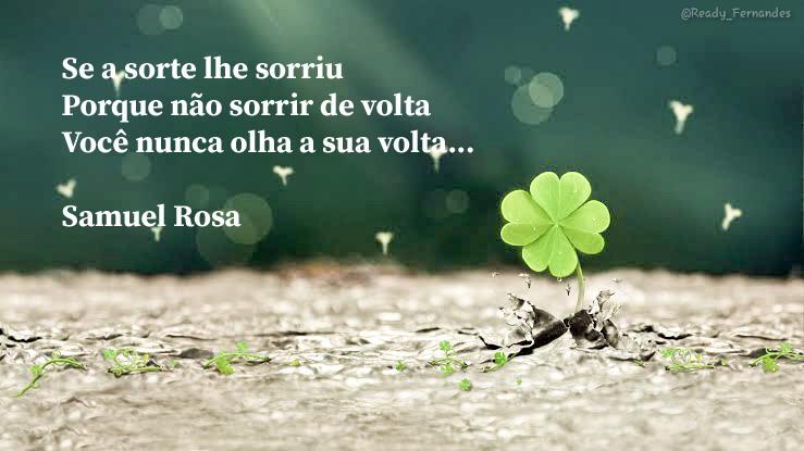 ReadyFernandes1's tweet photo. @florOretorno Caiu perfeitamente em aquário https://t.co/DIQdLD5sGy