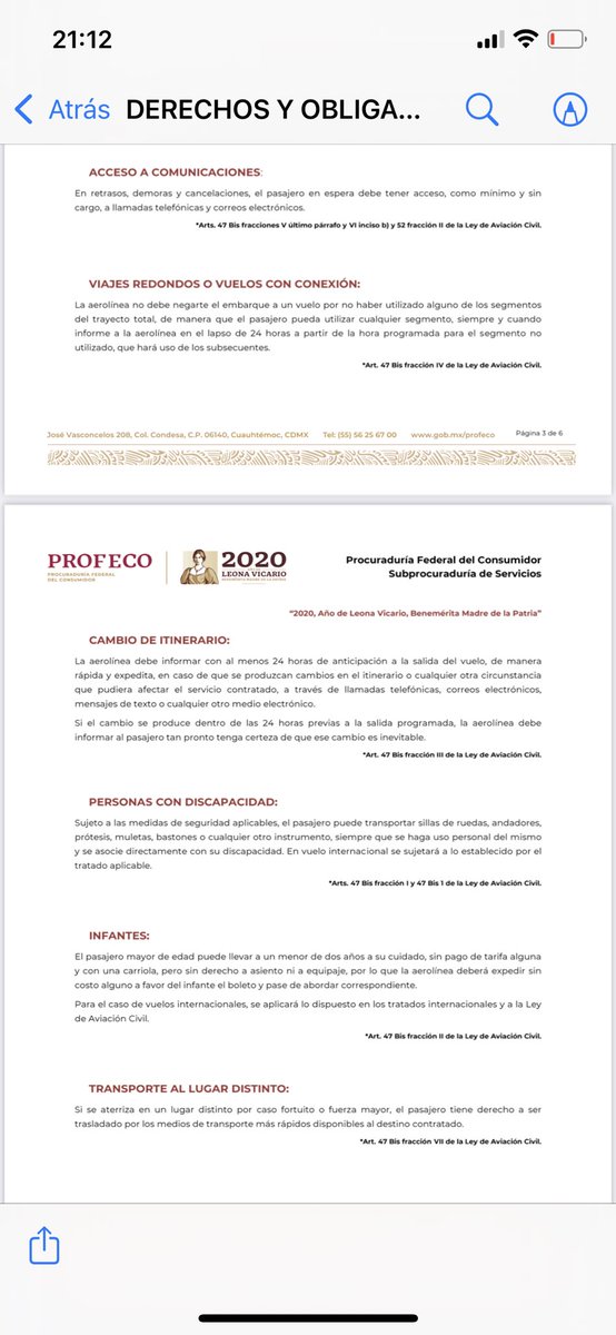 sofia capetillo tweet media