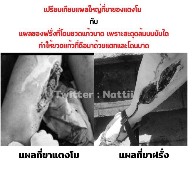 Nattii tweet media