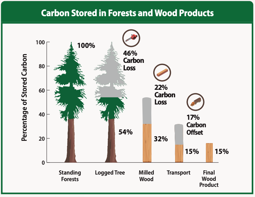 TorranceCoste's tweet photo. Yes, wood products store some carbon.

But much, much more is lost when a forest is cut down. We need to be wary of the logging industry greenwashing wood products as climate solutions.

Learn more:

https://t.co/VGskawS3X9 #bcpoli #oldgrowth #ClimateChange https://t.co/QChwv5CgK6