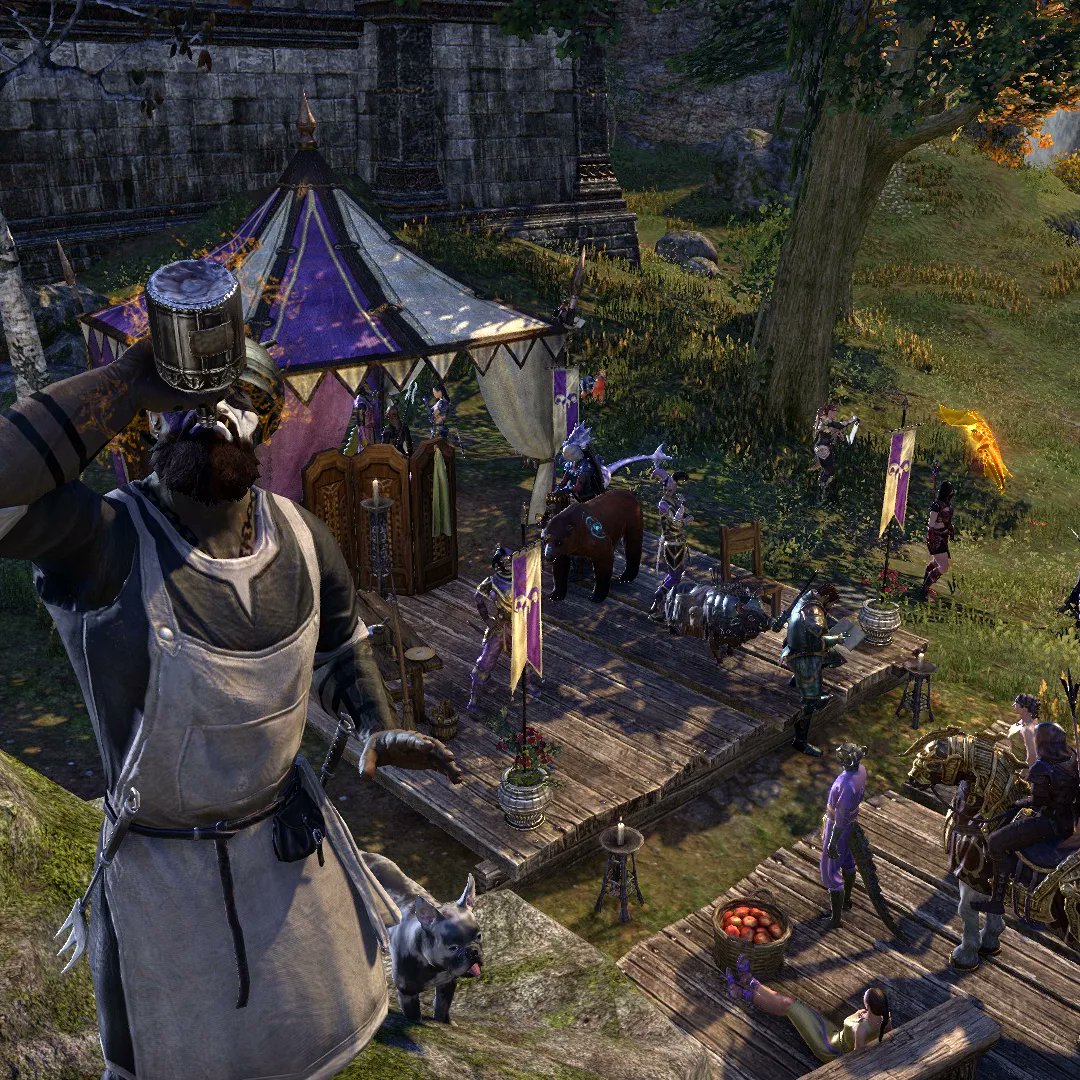 lostinnirnpod's tweet photo. Ogord is having WAY too much fun during the Jester's Festival #ESOFam https://t.co/EIyBEdno9c