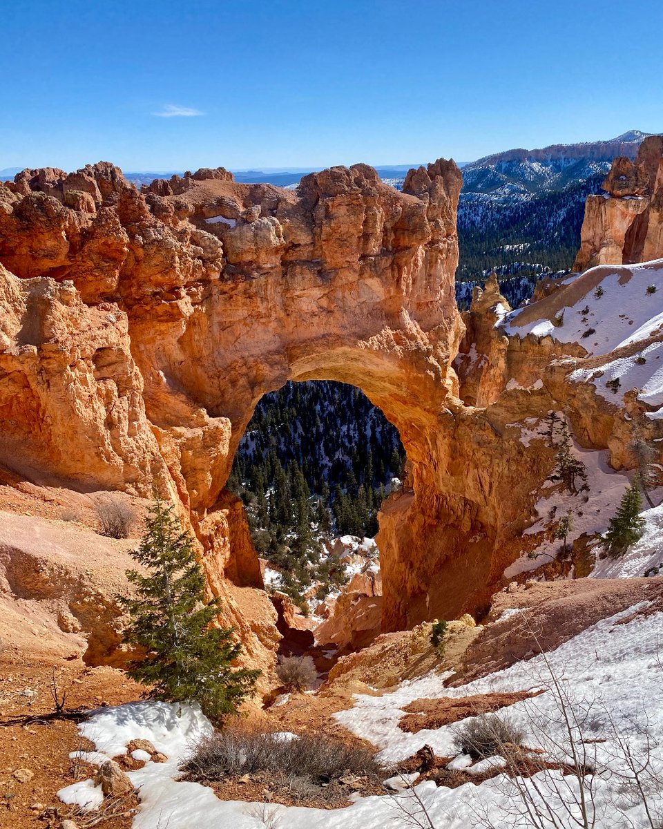 Hitched4fun's tweet photo. "Natural Bridge" was carved out by nature.  What a cool site to see.

Doesn't it make you want to walk through it?

#brycecanyon #brycecanyonnationalpark #brycecanyonnps  #beautifulutah #nationalpark #naturelover #landscape #landscapephotography #utah #exploremore  #hitched4fun https://t.co/aXfNeq93Q3
