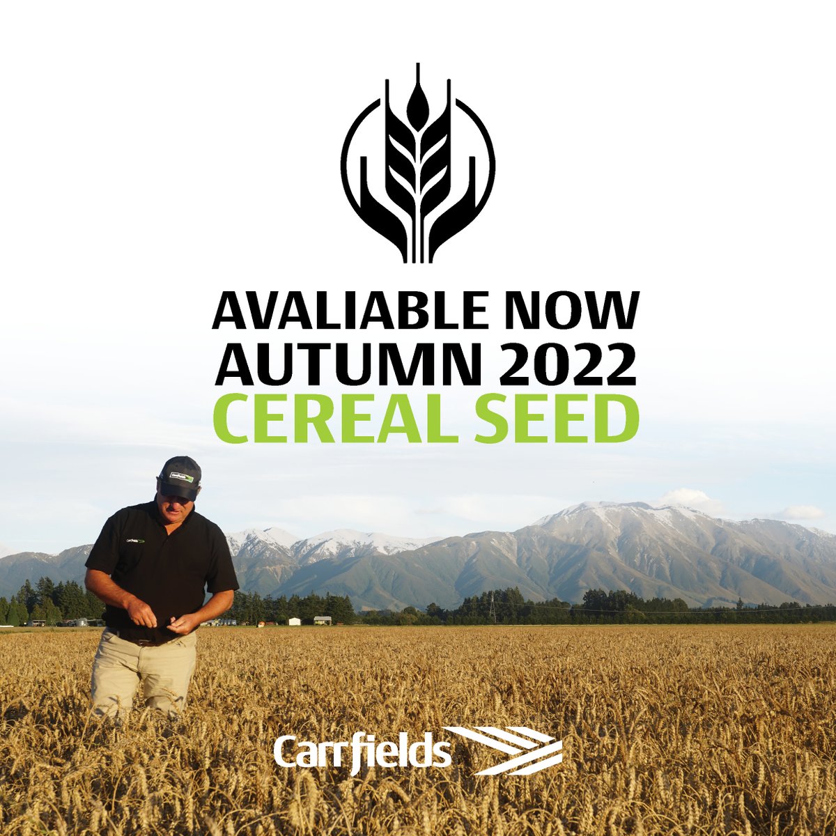 Carrfields tweet media