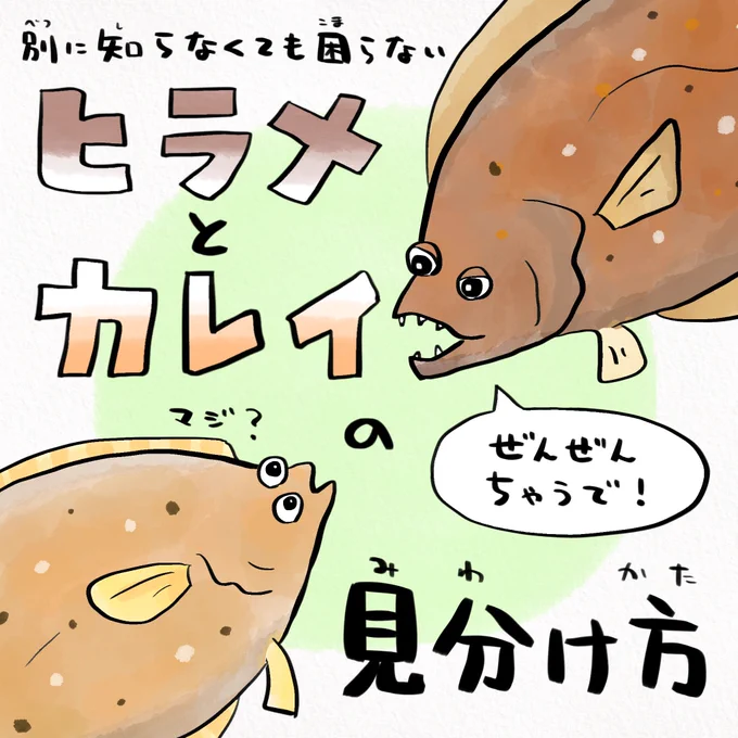 「左ヒラメに右カレイ」はウソ 
