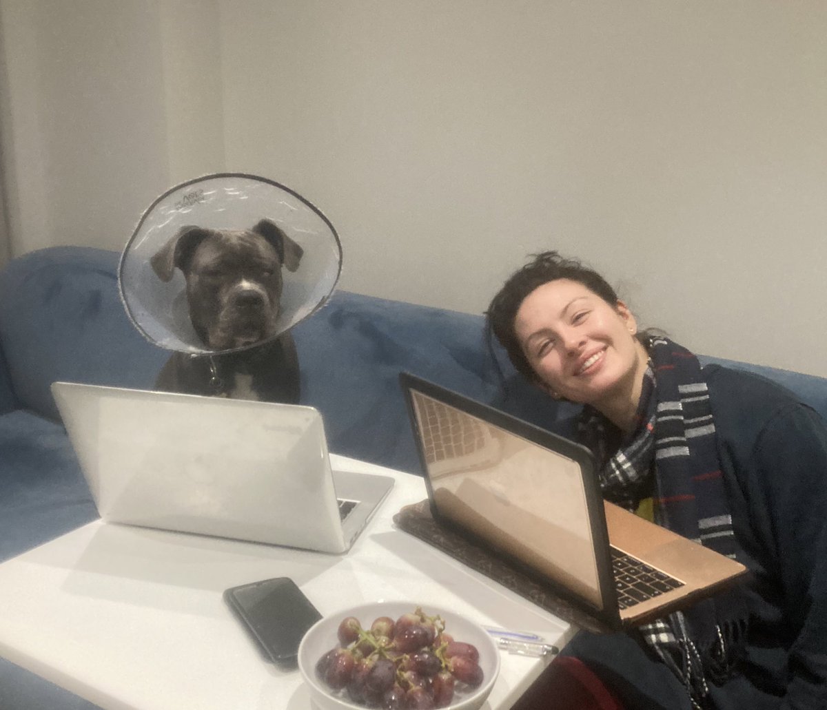 sisk_ali's tweet photo. Chups systematic review face is a vibe. #PhDbuddy #CaneCorso #NeverImpressed #studybuddy #PhD https://t.co/I1keBb5A1w
