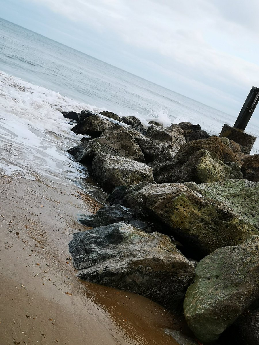 AHall_Marine's tweet photo. I even got to showcase some of my early ecological enhancement work which I did for my PhD! Looking forward to giving my keynote presentation tomorrow! #HolesandGrooves #Vertipools #EcoEngineering @ArtecologyDept @ycsec2020 #YCSEC2022 https://t.co/7WpHMEMY7Q