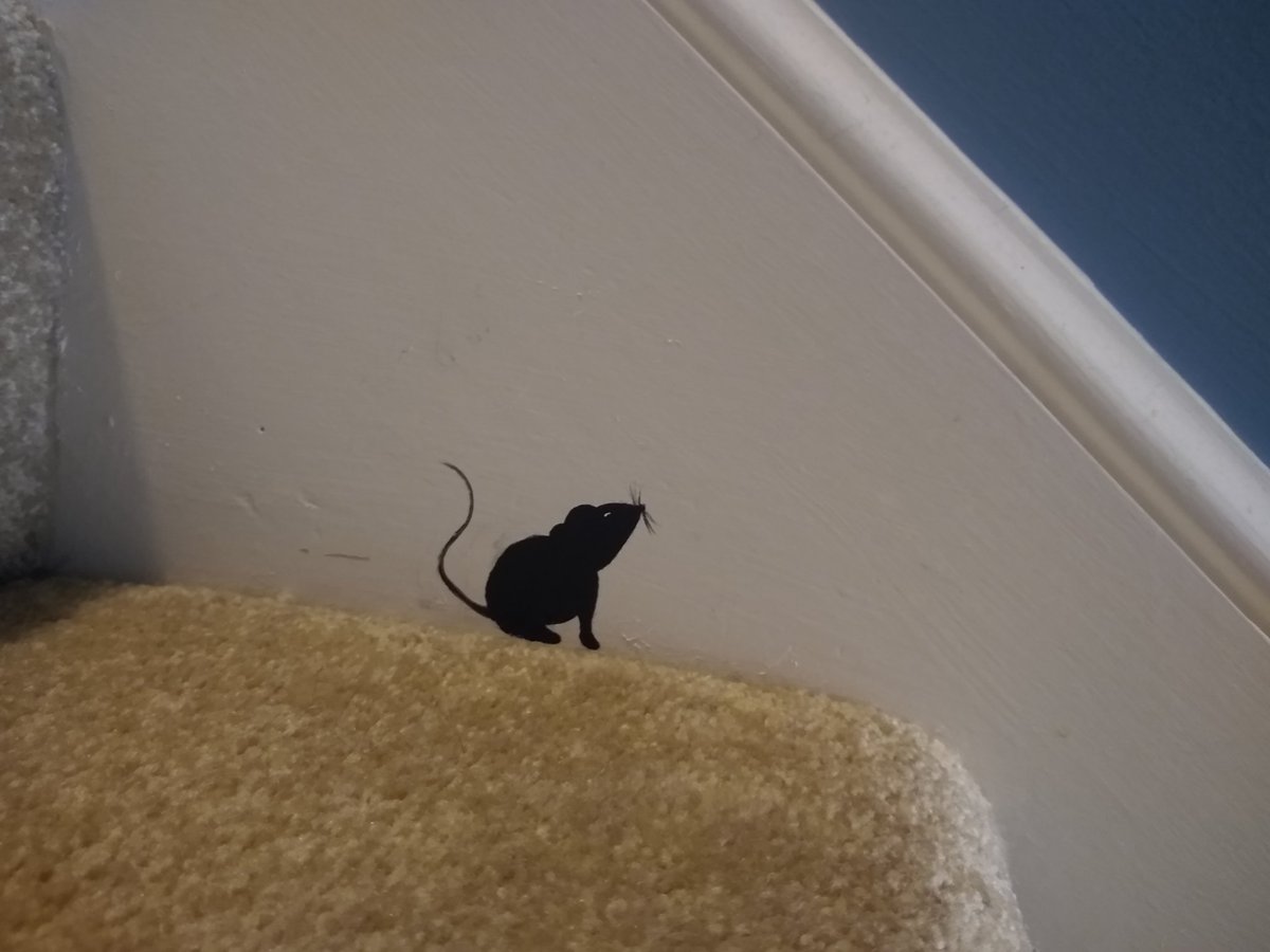 Emily Hein tweet media