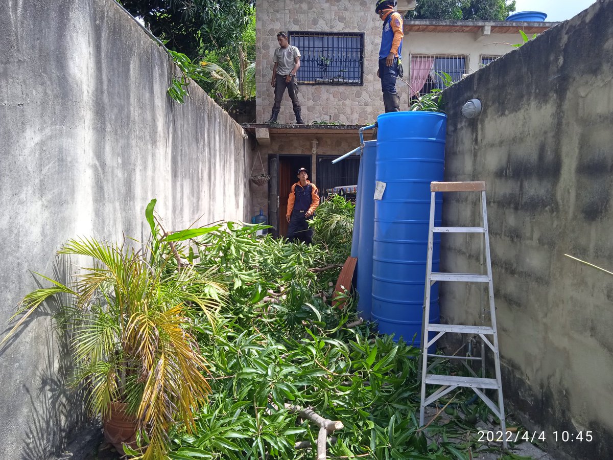 pcmbi's tweet photo. #4Abr Tala de Árbol Caido de Especie Manguifera dentro de una Vivienda en el Sector Monseñor Arias Blanco #PCMBI @BrullerbyPSUV @droopy171 @efrenochoa @PCivil_Ve @PCADAragua @PcRedancentral @CeballosIchaso1 https://t.co/Rp7yI39qnI