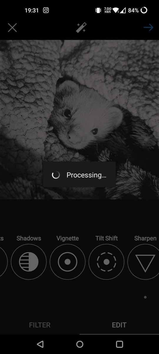 Voodannyn's tweet photo. Anyone else been having this issue with @instagram lately? Can't post or add to story but account isn't restricted.
Only solution I've had so far is to delete and reinstall the app every 2-3 days but it's not really solving the issue permanently https://t.co/7QvuPdpy88