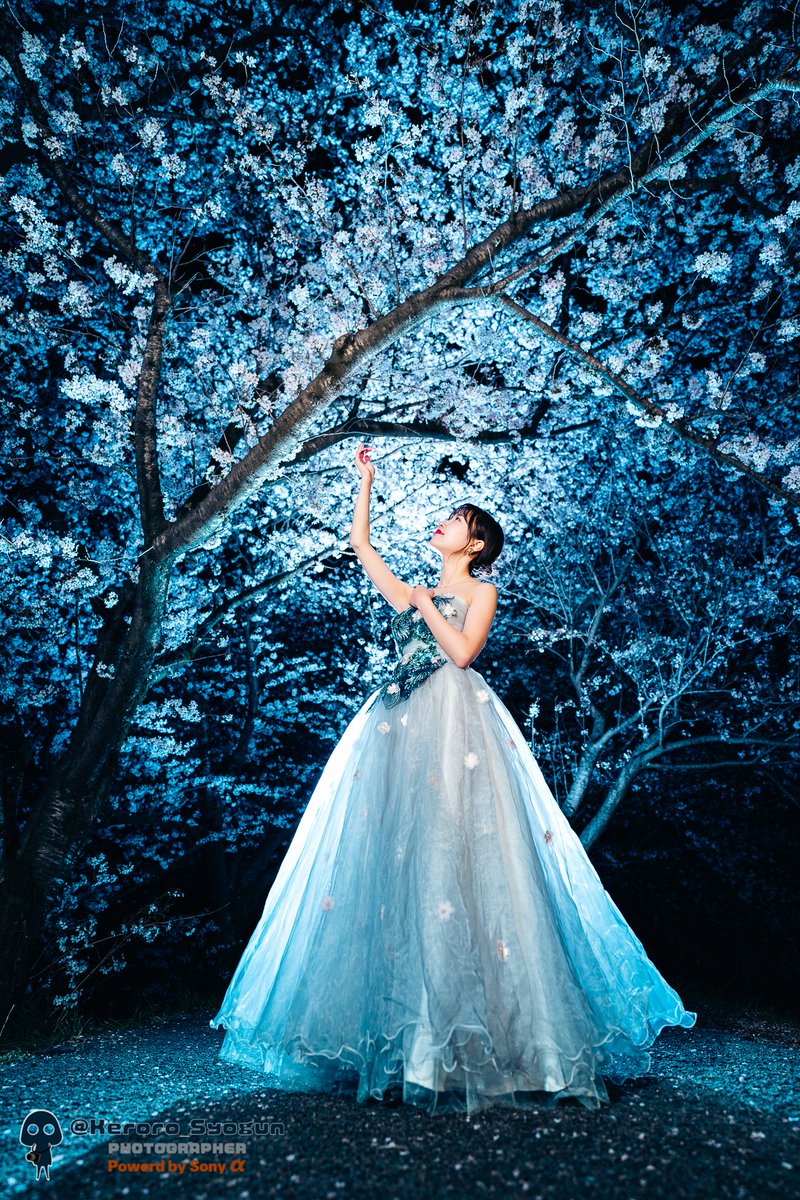 Keroro_Syogun's tweet image. 満開の夜桜🌸は、まるで雪のようでした❄️
#一人一花
#一人一花ポートレート
#花とアートで世の中を明るく
撮影日:2022年4月
撮影場所:#福岡県 #うきは市
モデル:Chiemiちゃん