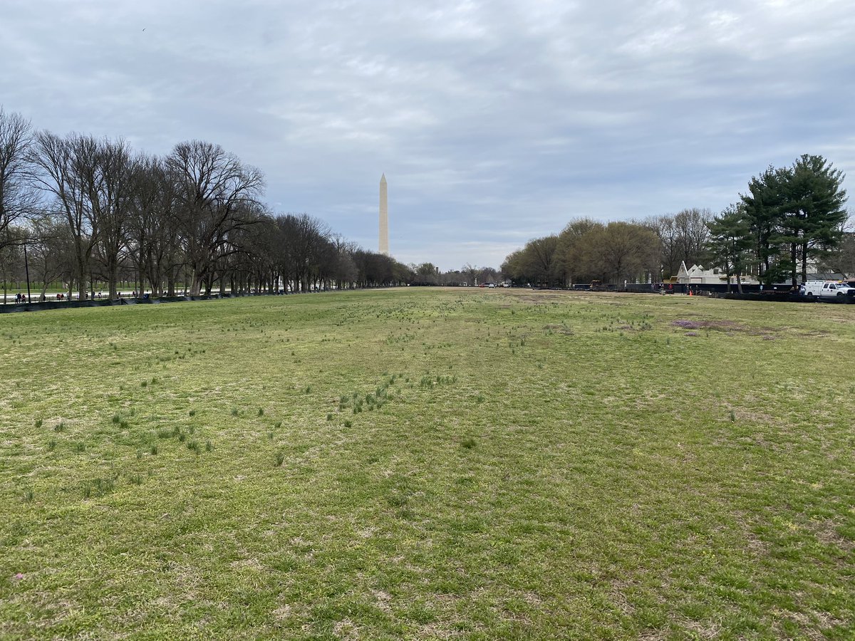 New soccer fields coming to the National Mall in Washington DC. <a href="/CarolinaGreenCo/">Carolina Green</a> <a href="/sodproservices/">Sod Pro Services</a>