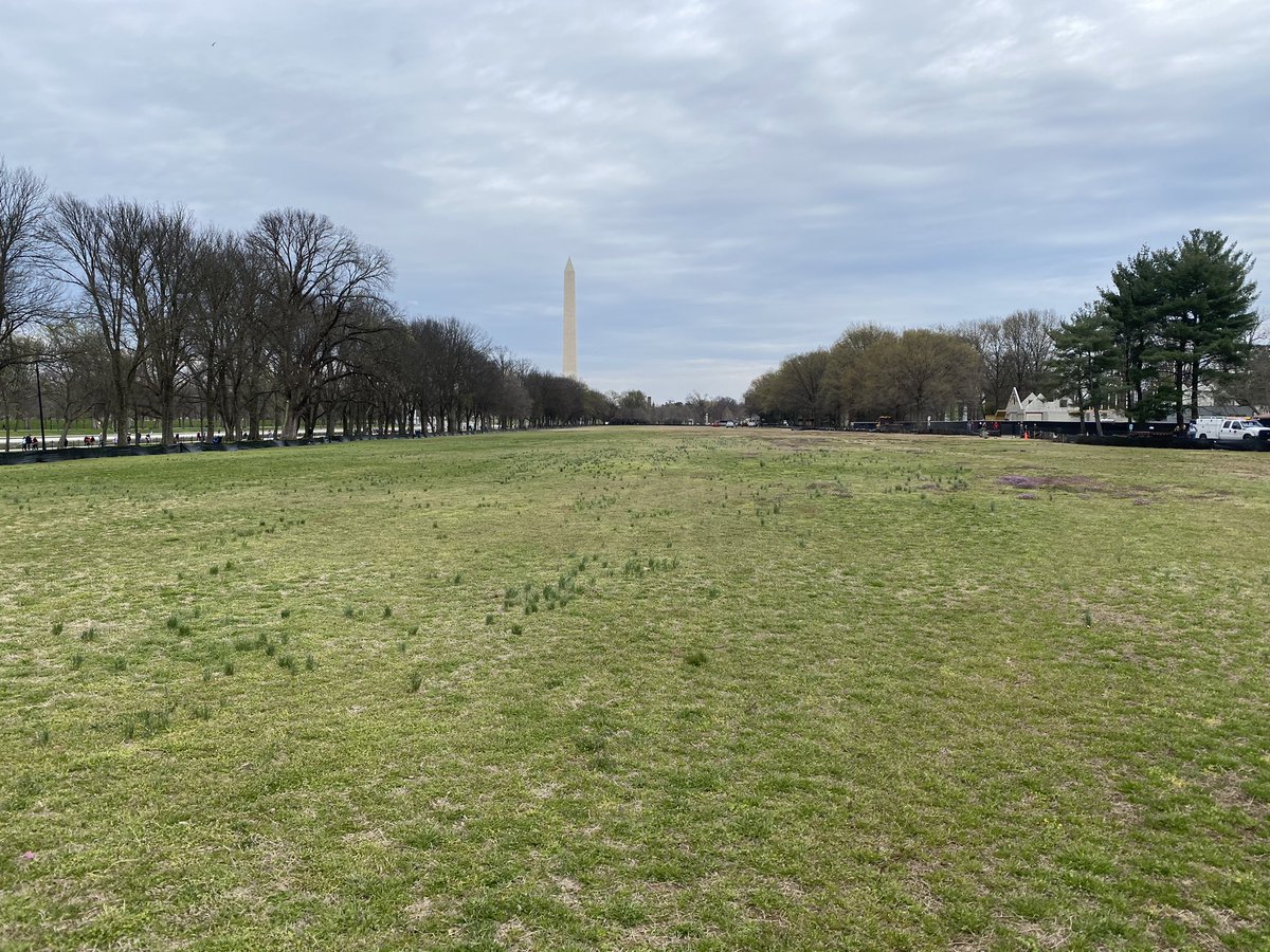 New soccer fields coming to the National Mall in Washington DC. @CarolinaGreenCo @sodproservices