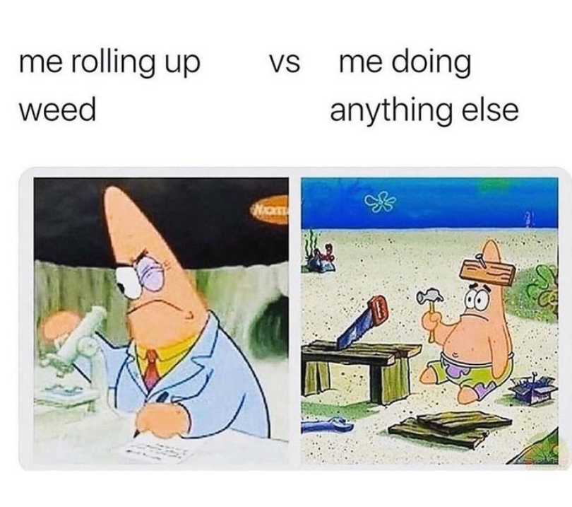 The struggle is too real sometimes...😔

#onlinedispensary #cannabiscanada #cbdshop #weedporndaily #weednation #cannabisculture #indicavssativa #cannabissativa #cannabislove #cannabiz #cannabisconnoisseur #cannabiscanadaforums