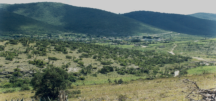 CCV433Ixcateco's tweet photo. El pueblo #Ixcateco tiene este nombre por el lugar en donde habitan: Santa María de Ixcatlán, en Oaxaca. 
El nombre de este pueblo proviene de las palabras “ixcati” que significa “algodón” y de “tian” que significa  “lugar de” ,  por eso se le conoce como “Lugar de algodón”
AUBS https://t.co/ewhVPUWdHq