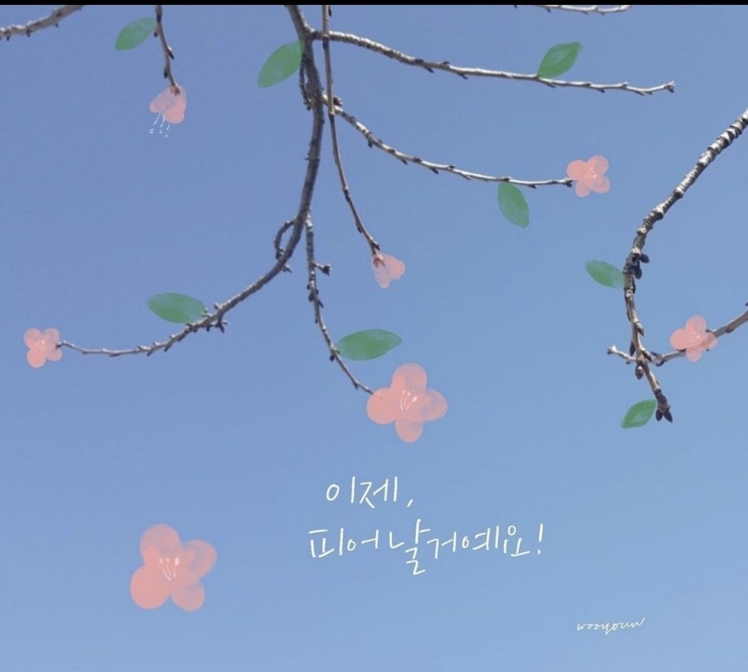 이제 피어날거에요