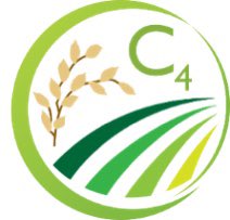 Susanne vonCaemmerer tweet media