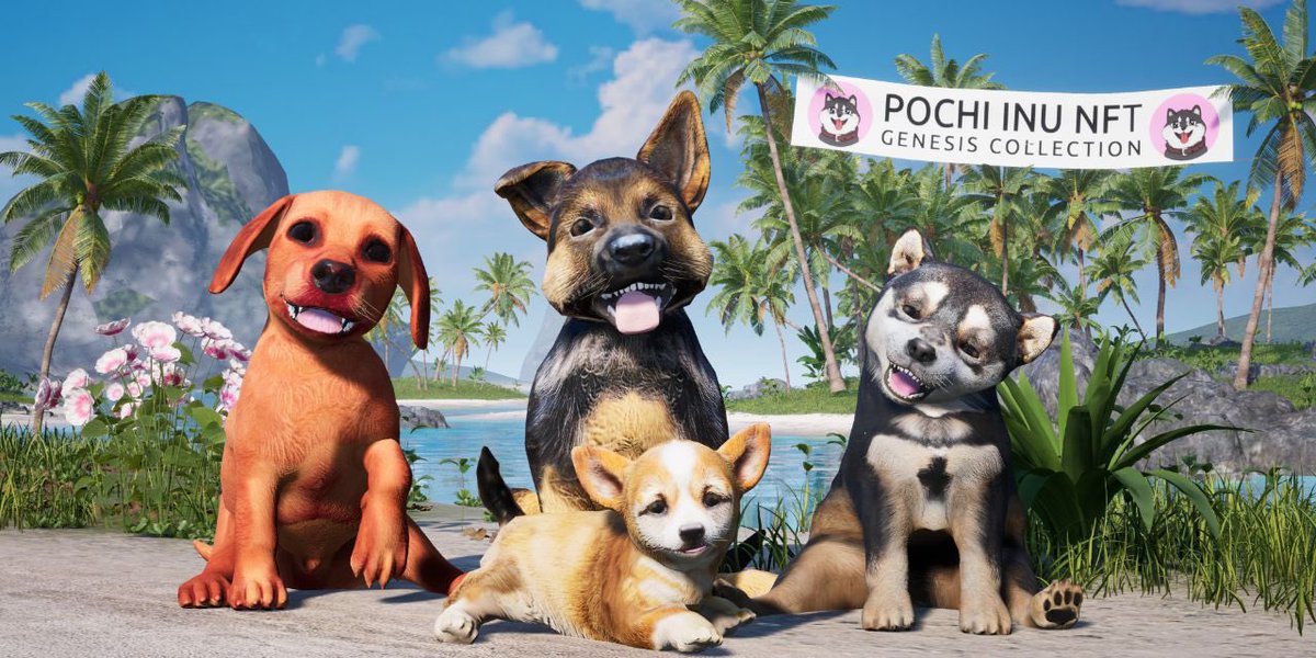 YashaToken's tweet photo. 🚨 @yashatoken x @pochiinu_io GIVEAWAY 🚨

The $POCHI team has given us 10 POCHI NFT Whitelist Spots to giveaway! To enter:

1. 💙 + RT
2. Tag 2 friends!
3. Join the Pochi Discord!

Winners will be selected in 48 hours! Good luck 

https://t.co/ieBY4aWnOM https://t.co/c0AeQEOrep