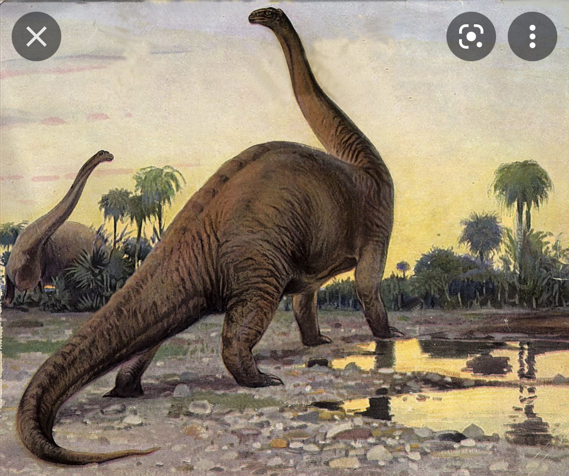 nichelob ultra tweet media