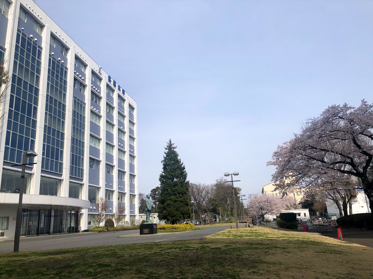 kitasatorigakud's tweet photo. 北里大学新入生の皆さん
ご入学おめでとうございます🎊
皆さんの入学を待ちわびていたかのように相模原キャンパスは桜が満開🌸
理学部同窓会(卒業生団体)は皆さんが卒業するまでサポートいたします😊
これからの学生生活で多くを学び、輝かしい未来の礎となる事を心よりお祈り申し上げます
#春から北里 https://t.co/y00XJ7Mhfl