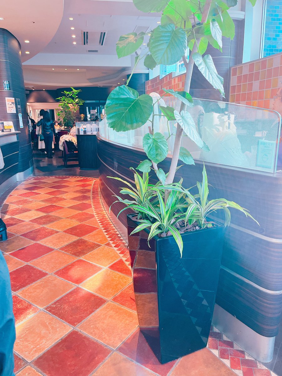 cafemilk_pf's tweet photo. エクセルシオール  6店舗目
東京都「市ヶ谷駅前店」

バリスタとそうじゃない差がパッと分からないので、全部エクセルシオールカフェでいいよね！😂

#エクセルシオール
#EXCELSIORCAFE
#Barist
#帆乃歌のエクセルシオール巡り
#1日1店舗
#市ヶ谷駅前店
#エクセルシオールバリスタ https://t.co/YPlvppjvOm