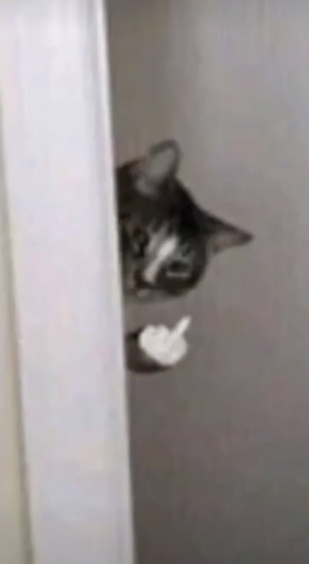 nichelob ultra tweet media