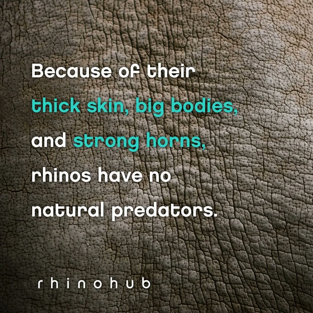 RhinoHub's tweet image. Dominating the field. 
.
.
.
.
#getdungdone #rhinofact #thickskin