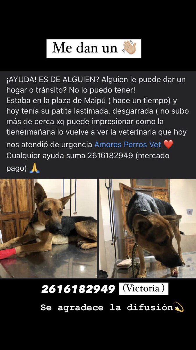 Vicocarreras's tweet photo. https://t.co/T6Nl4HlgPj