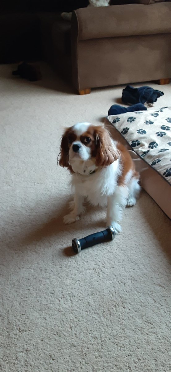 Will In CT tweet media