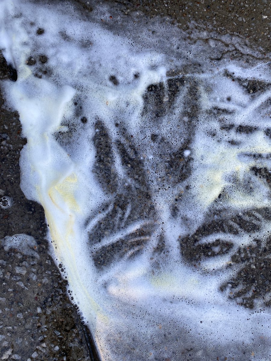 GarageRiot's tweet photo. Pollen bubbles. #garageriot #pollenlife #stayoffmycar #carwash https://t.co/Uf2uYWQtjS