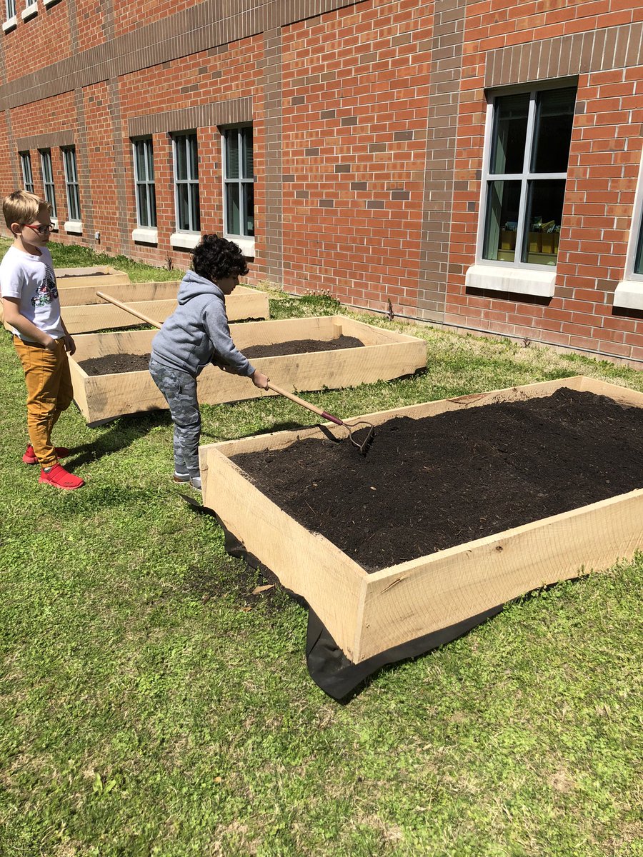 MichelleWoosle1's tweet photo. Gardens planned, built, and filled!  Excited @OakviewElem to start planting as we learn about pollinators, graphing, and measurement!  Thanks @gardensupplyco for your help and donations to make all this leaning possible!!#gardening #learninglab @AshleyShafferNC @beichhorn01 https://t.co/33l2XIyvlp