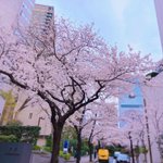 ツイートに含まれる画像