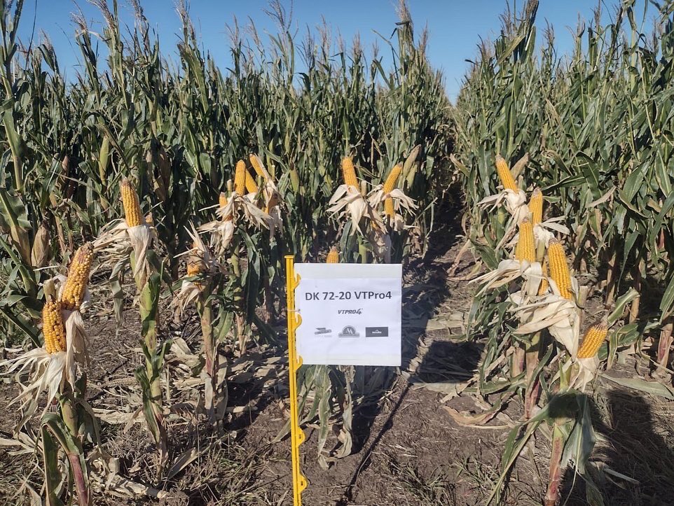 AgronomiaRecari's tweet photo. Hoy realizamos la reunión a anual mostrando los maíces de @DekalbArgentina gracias a todos por acompañarnos! @Bayer4CropsAR @juampiriedel @martin_deyaniz https://t.co/6i5usALFoo
