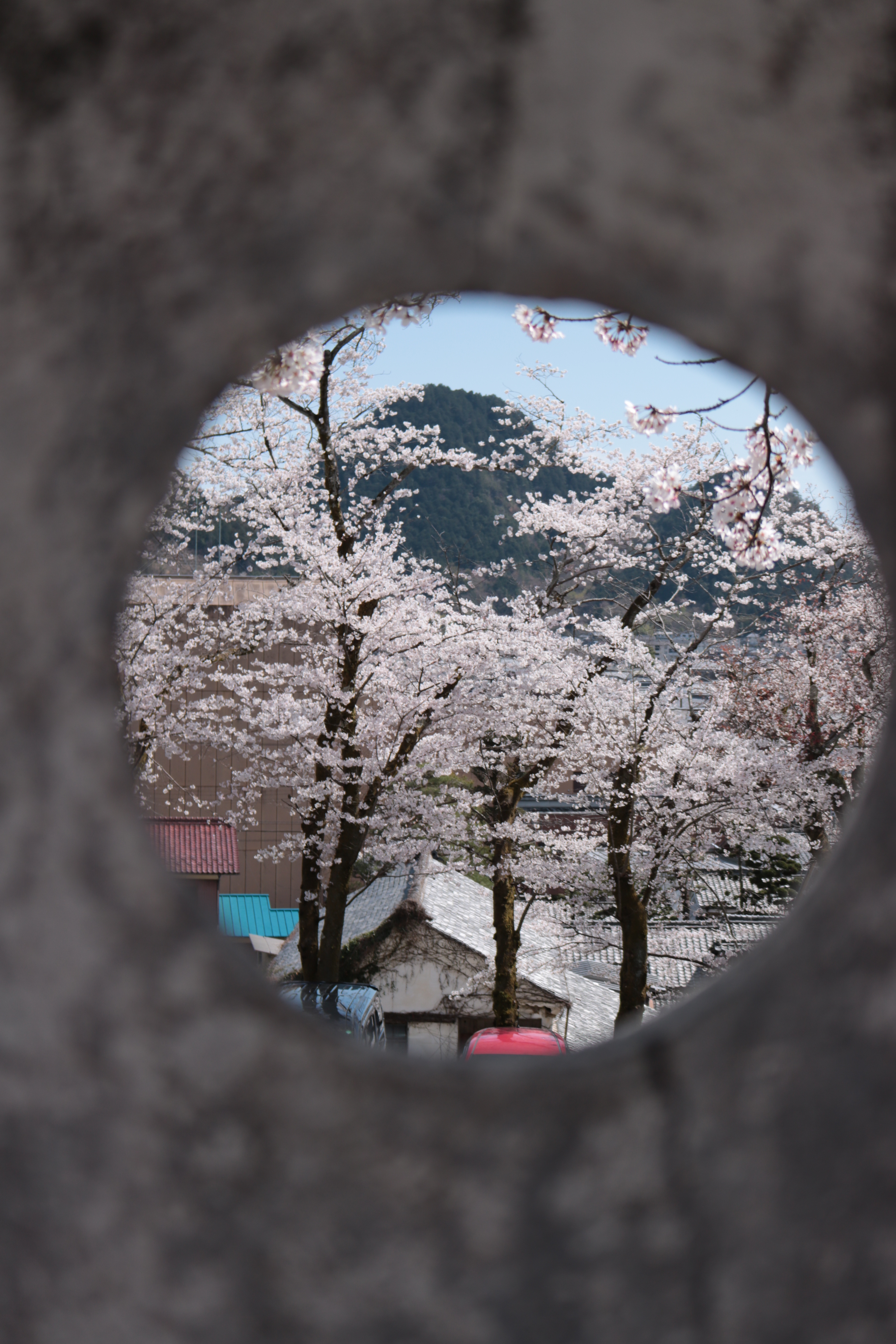 小倉公園 Twitter Search Twitter