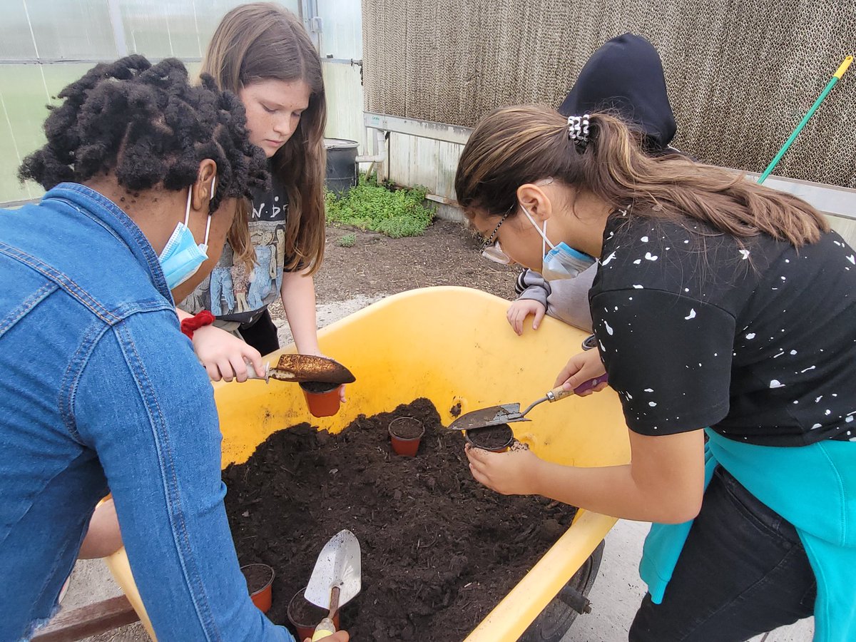 Samantha Glickstein tweet media