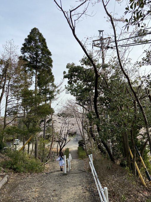 Twitterのコスプレ画像38