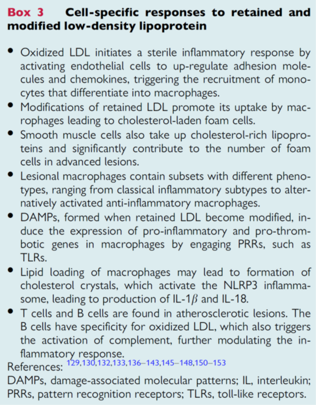 14) Retained #LDL particles are taken up by macrophages resulting in #foamcell formation. Lipid retention in macrophages can lead to #NLRP #inflammasome activation. 🔓academic.oup.com/eurheartj/arti…