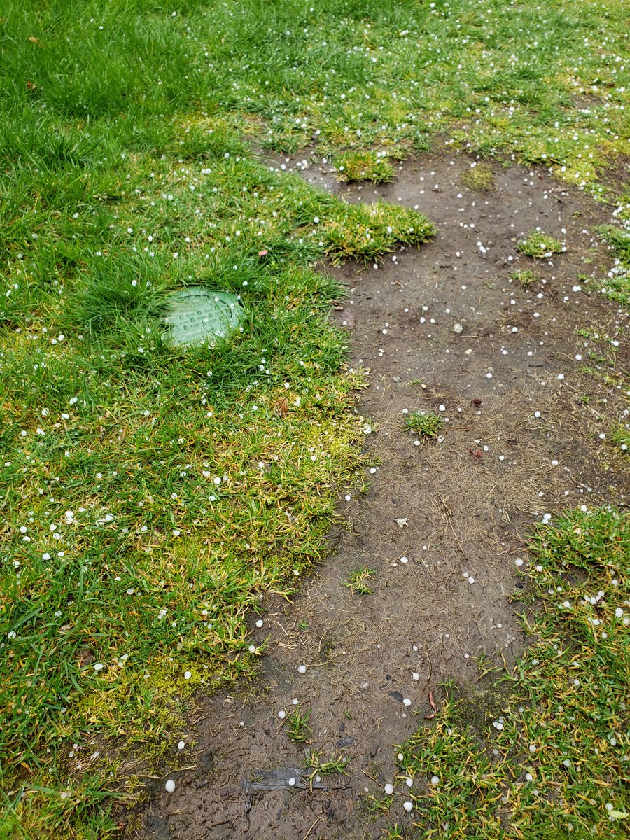 Just got a fast and hard dumping of pea-size hail Fife/Puyallup area.  4:35 pm PDT
@NWSSeattle @KSeattleWeather @WaWxChasers @ShannonODKOMO @ClaireKIRO7 @abbyacone @fox13seattle @KING5Seattle