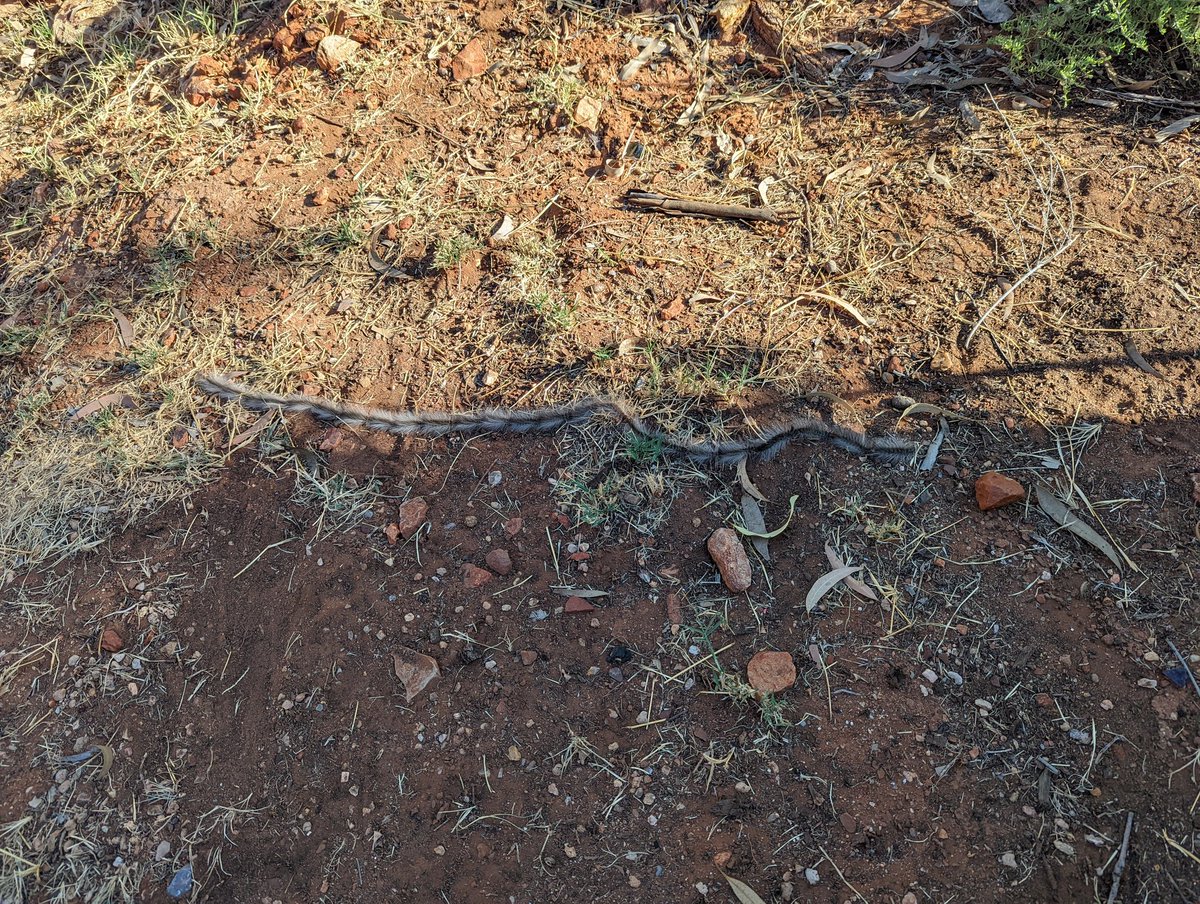 The places we visit where legal institutions sit have stories and connect to our legal system today. The stories on country have a much longer history and also shape the world today. With these courses, the country also teaches.