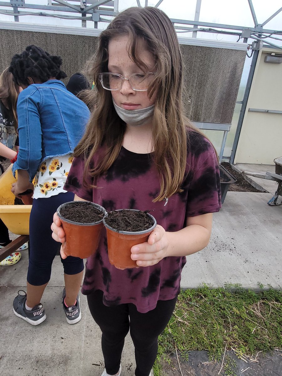 Samantha Glickstein tweet media