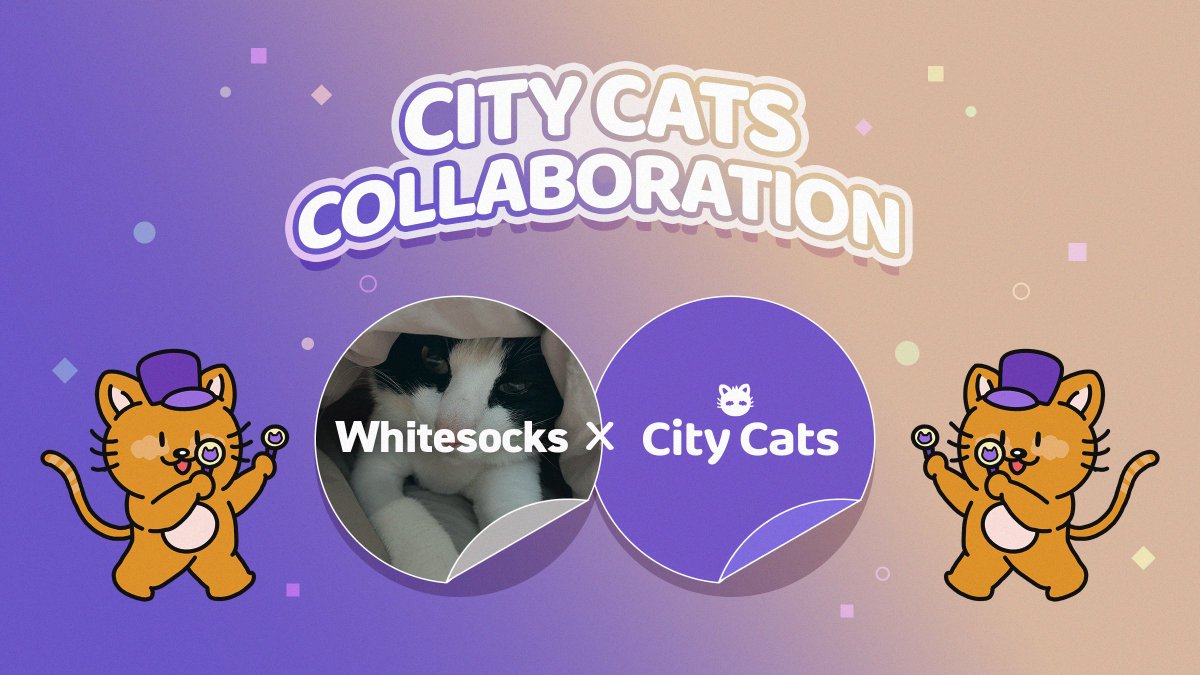whitesocks (❖,❖) 💜 tweet media