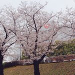 ツイートに含まれる画像