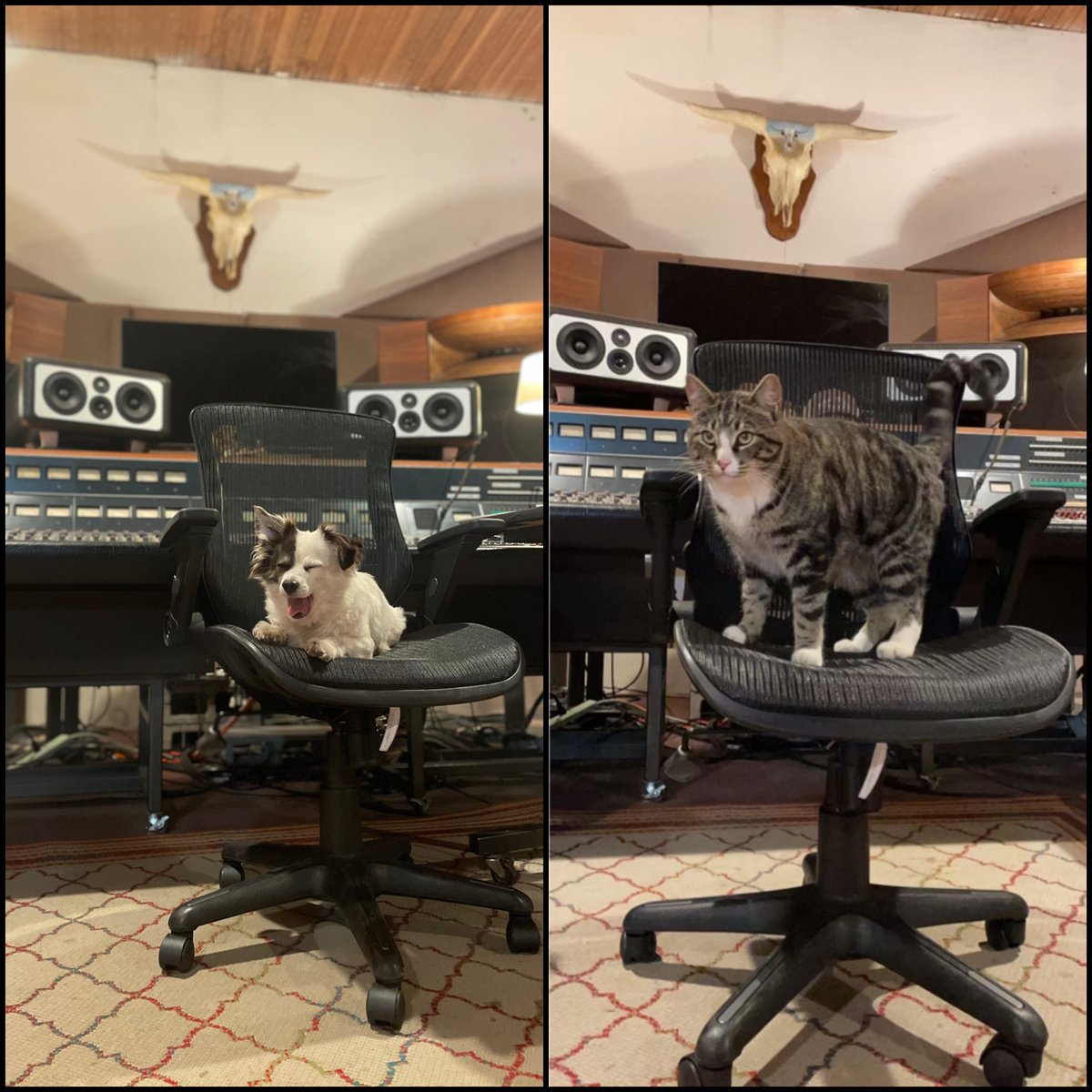 PrairieSunRecording tweet media