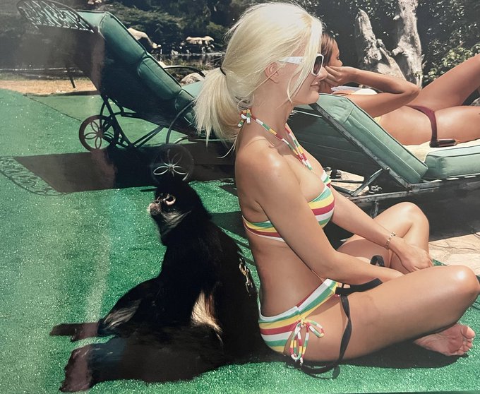 Besties only https://t.co/v2AZKoMvpB<a href="/tag/lethallyblonde"class="tags"><span>#lethallyblonde</span></a>