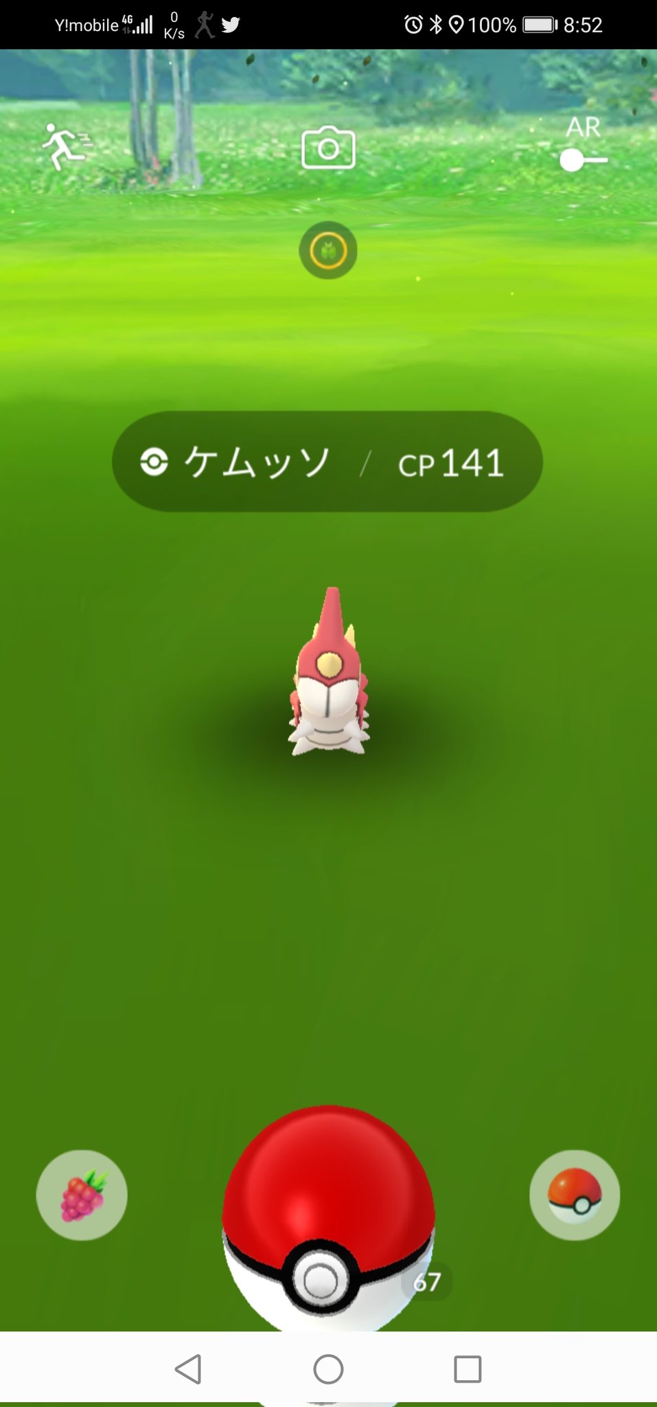 やまねのジャンガジャンガ ポケモンgo楽しいですよ ポケモンgo ケムッソ アーボ T Co Uirgvvs5fv Twitter