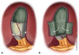 Caroline Park MD, MPH tweet media