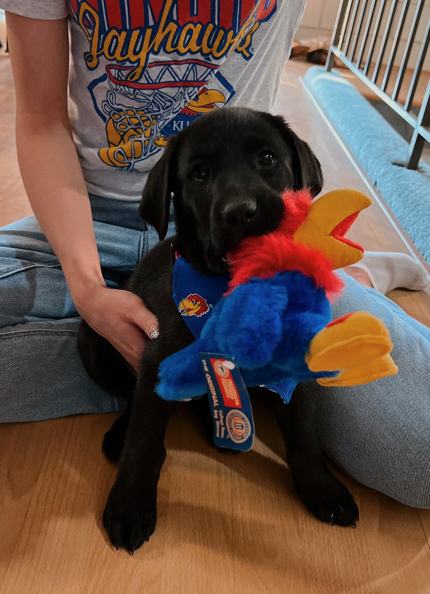 Showtime <a href="/KUHoops/">Kansas Men’s Basketball</a>