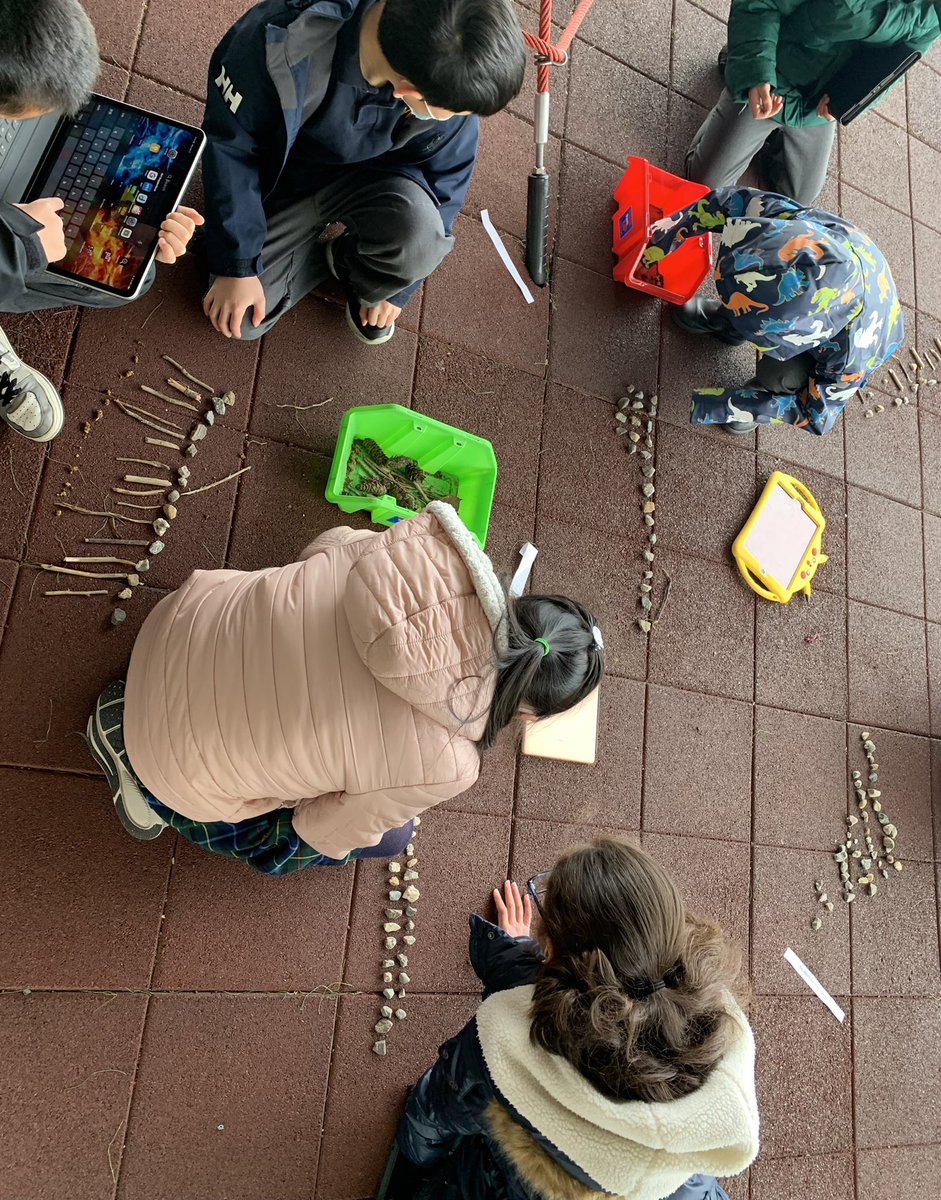 AMollenhauer_'s tweet photo. Practicing multiplication and division strategies using materials found outdoors! https://t.co/duy3WwXCLV