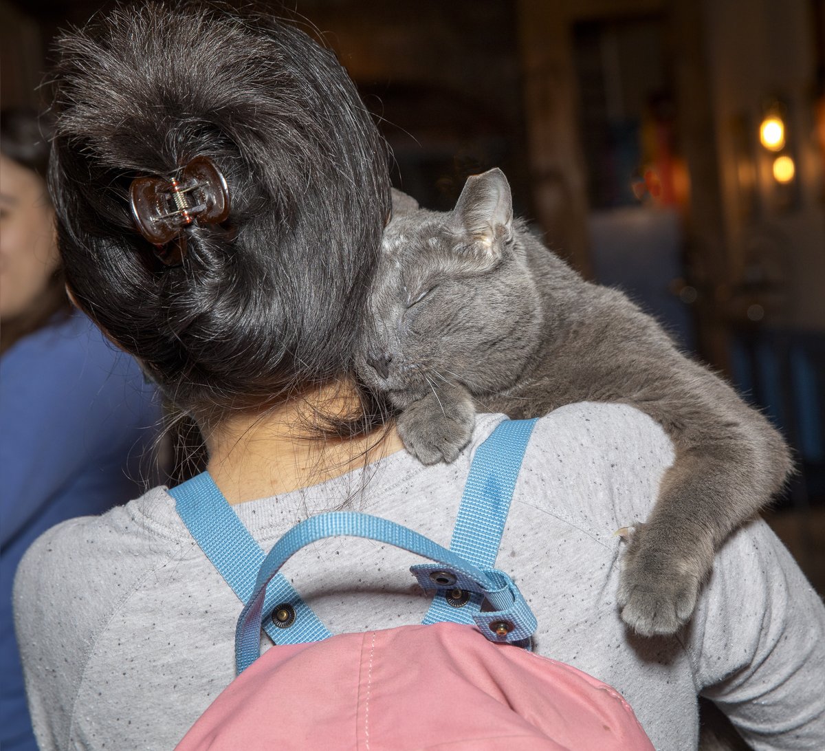 BBAWC's tweet image. Keep your cat #vaccinatedandloved Feline viral rhinotracheitis, calicivirus, and panleukopenia are deadly, contagious diseases prevented w/a combo vaccine. Thanks to @petcolove for donating 1 million free FVRCP vaccines 4 Natl Pet Vaccination Month. Proud 2BA #petcolovepartner.